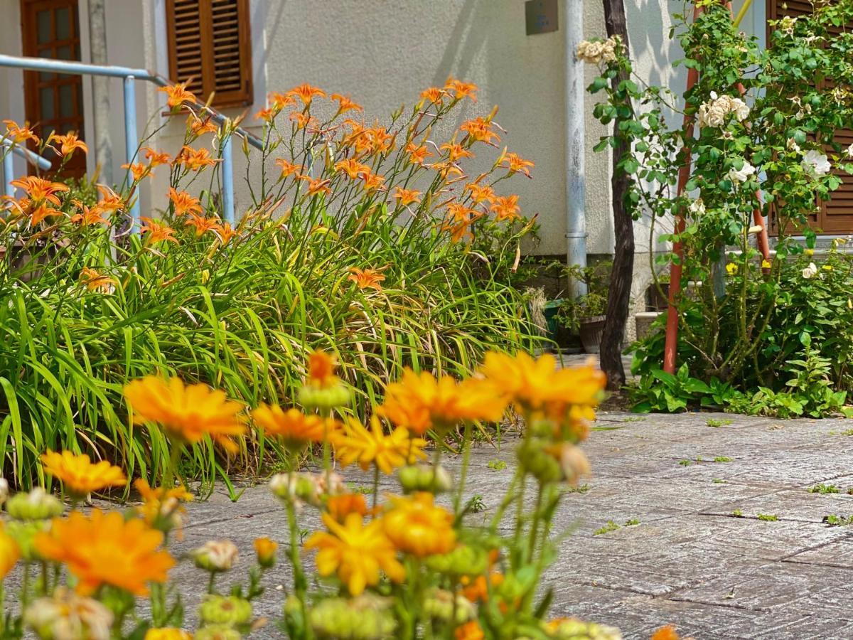 Garden House Budva Dış mekan fotoğraf